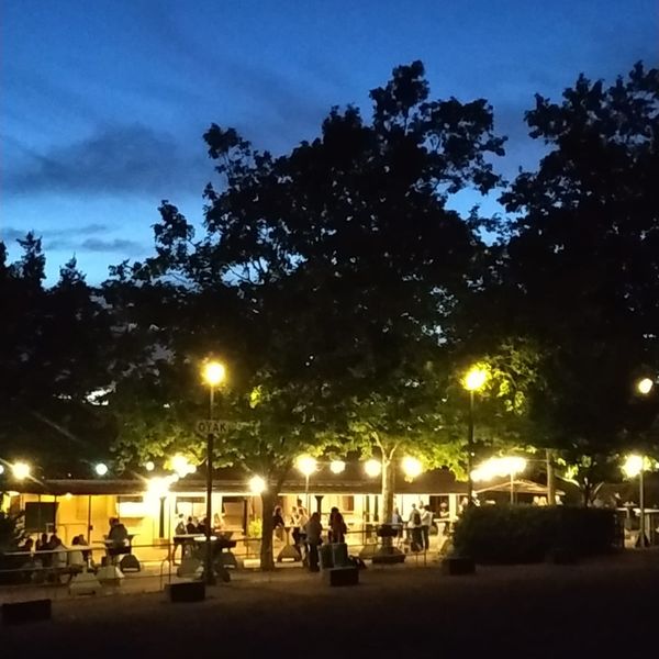 Welcome to the Taiz&eacute; website!