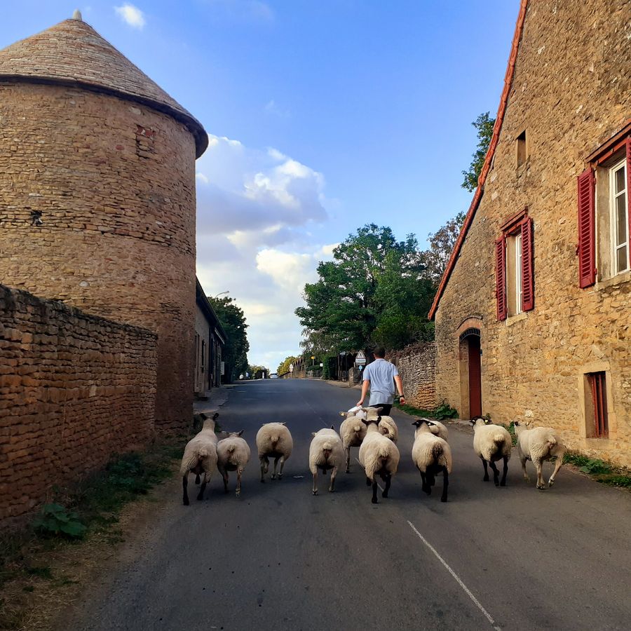Welcome to the Taiz&eacute; website!